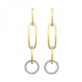 Paperclip Chain and Diamond Circle Earrings