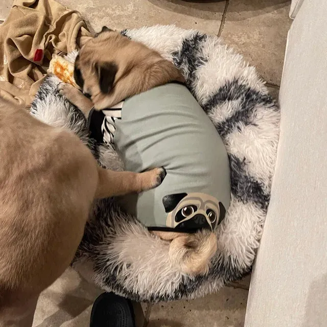 Pug Pajamas | Pug Dog Clothing | Fawn Pug dog